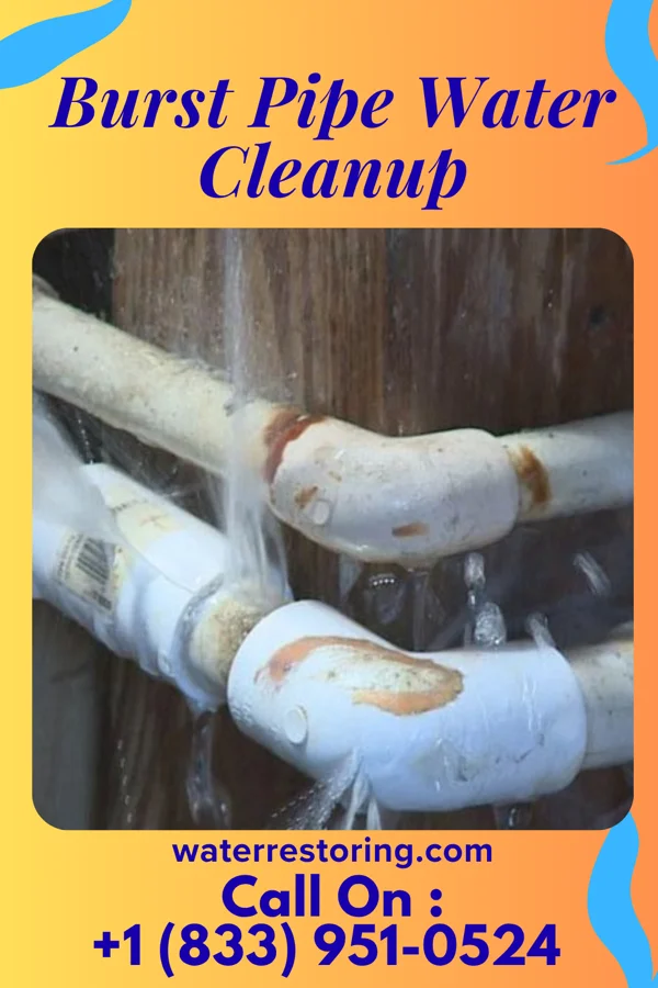Burst Pipe Water Cleanup in Grand Pass, MO